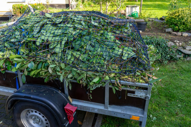 Best Moving and Downsizing Cleanouts  in Mequon, WI